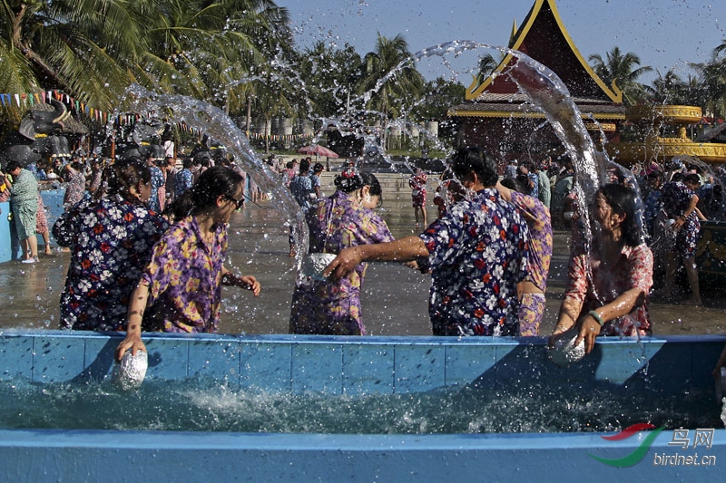 084104yfkr627rbpbb7kpg.jpg